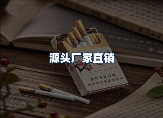 专业团队办公环境